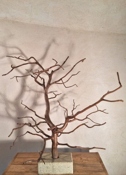 Arbre de Cade N°11