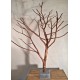 arbre de Cade N°12