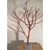 arbre de Cade N°12