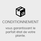 Conditionnement